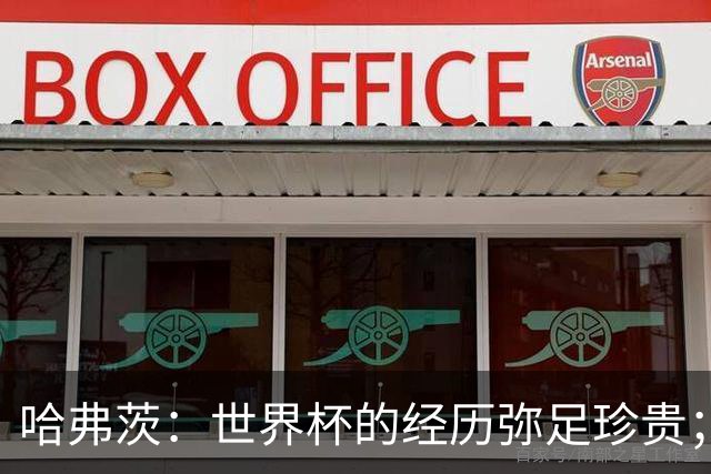 哈弗茨：世界杯的经历弥足珍贵；我们本赛季希望再次证明