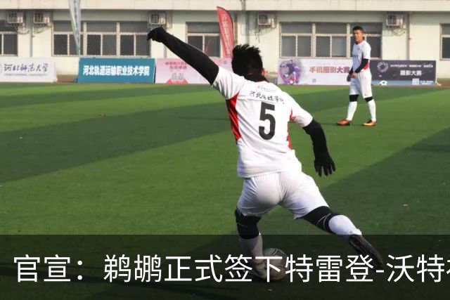 官宣：鹈鹕正式签下特雷登-沃特福德
