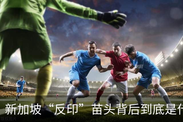 新加坡“反印”苗头背后到底是什么？